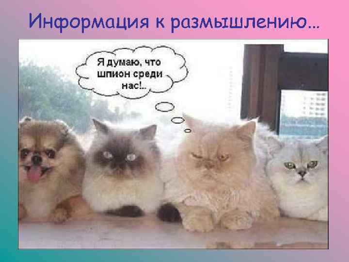 Информация к размышлению… 