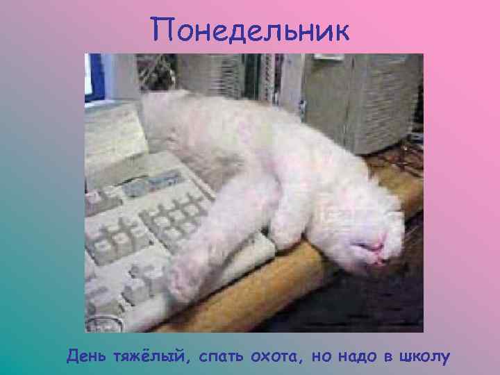    Понедельник День тяжёлый, спать охота, но надо в школу 