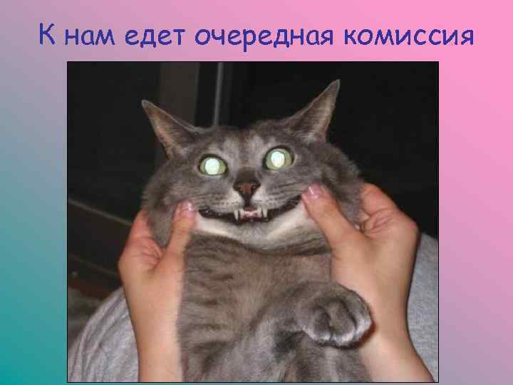 К нам едет очередная комиссия 