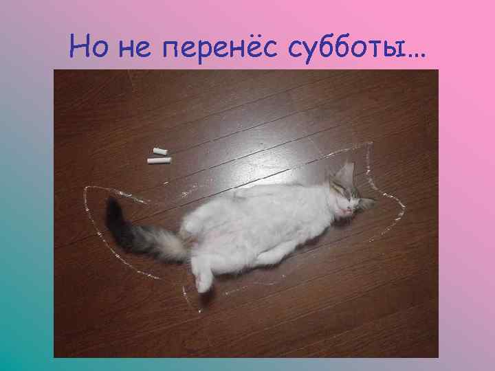 Но не перенёс субботы… 