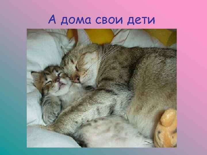 А дома свои дети 