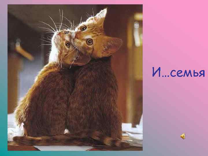 И…семья 