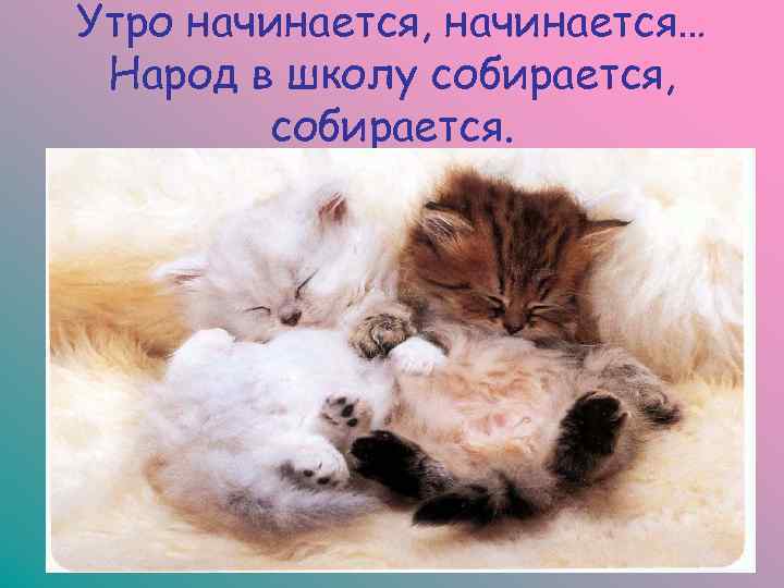 Утро начинается, начинается… Народ в школу собирается,   собирается. 