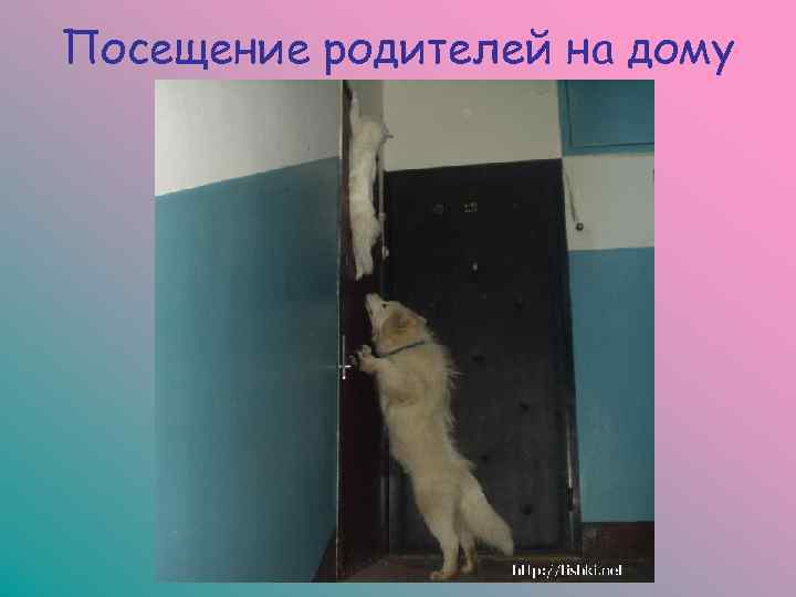 Посещение родителей на дому 