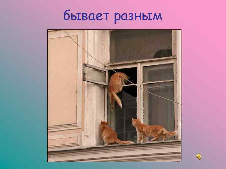 бывает разным 