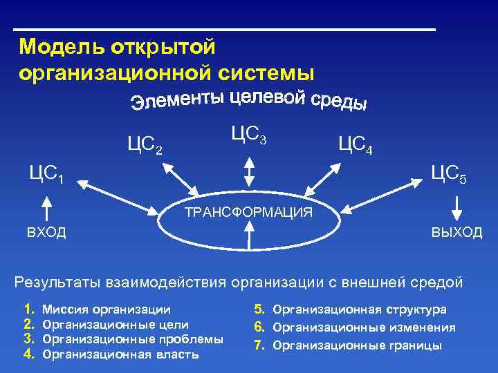 Модель открытой организационной системы      ЦС 3   ЦС