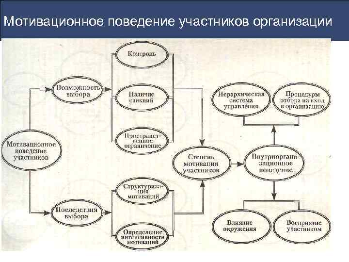 Мотивационное поведение участников организации 