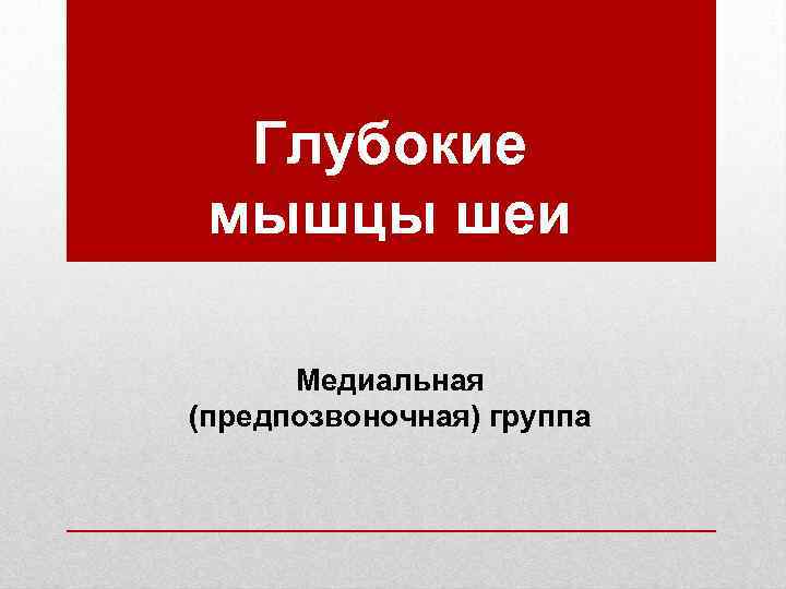  Глубокие мышцы шеи  Медиальная (предпозвоночная) группа 