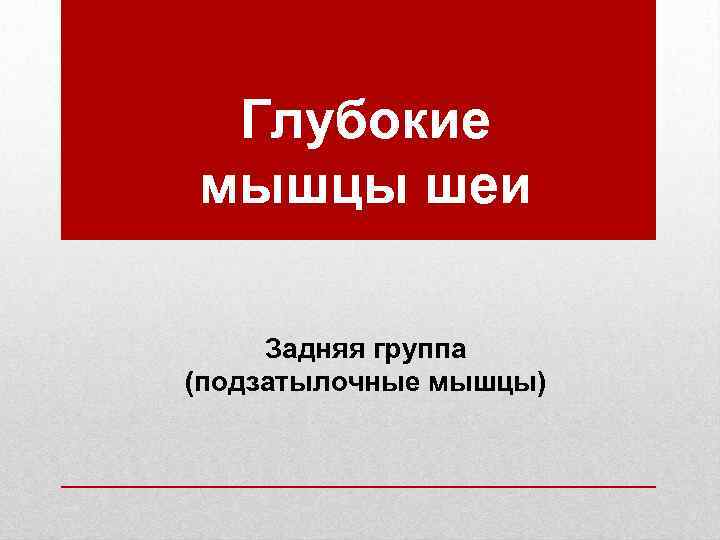  Глубокие мышцы шеи  Задняя группа (подзатылочные мышцы) 