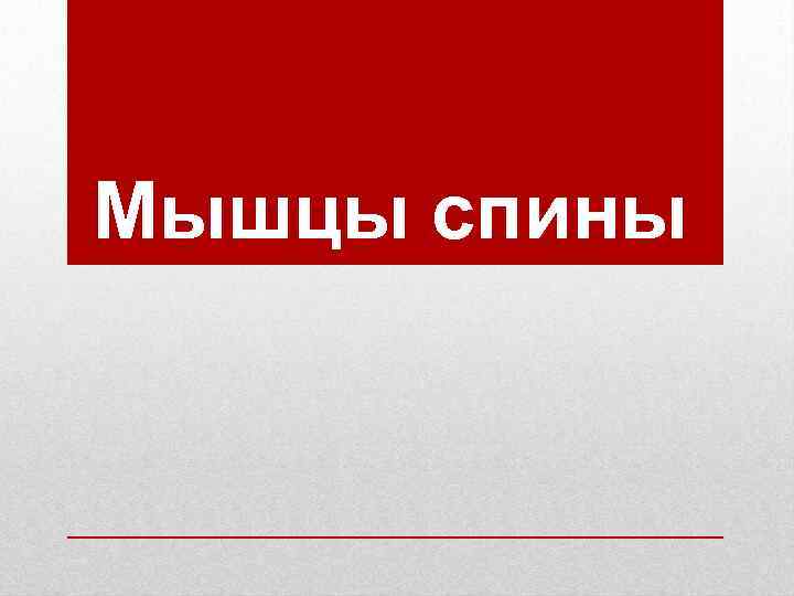 Мышцы спины 