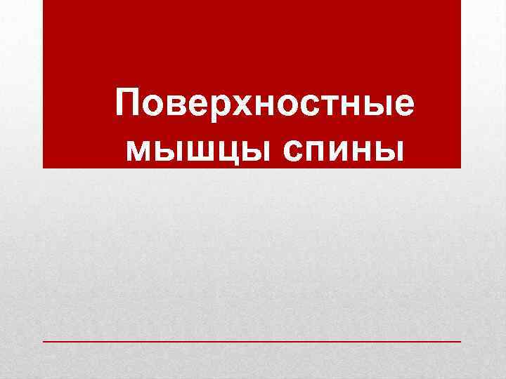 Поверхностные мышцы спины 