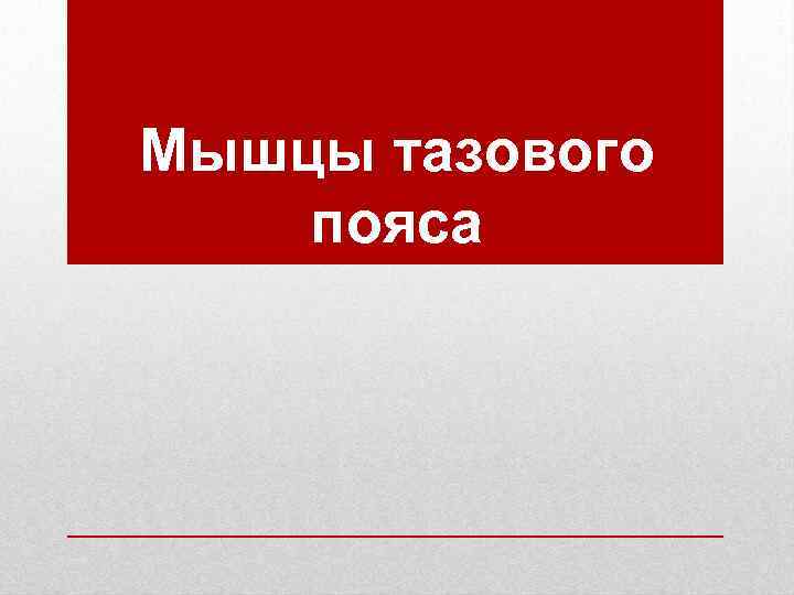 Мышцы тазового пояса 