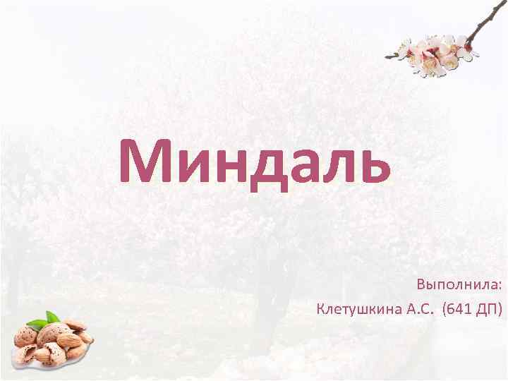 Миндаль   Выполнила:  Клетушкина А. С. (641 ДП) 