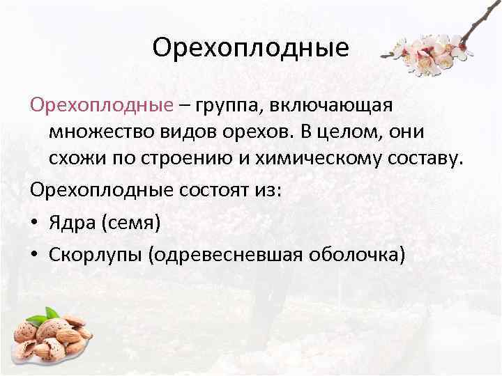   Орехоплодные – группа, включающая  множество видов орехов. В целом, они 