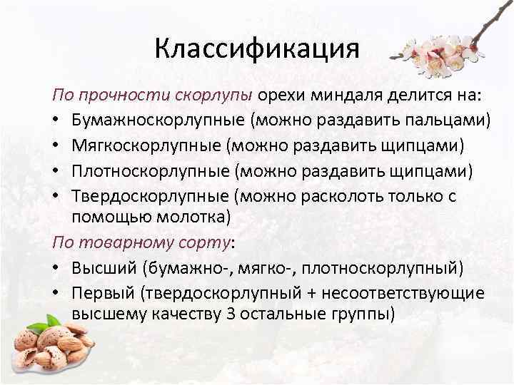    Классификация По прочности скорлупы орехи миндаля делится на:  • Бумажноскорлупные