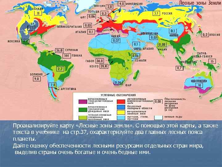 Проанализируйте карту «Лесные зоны земли» . С помощью этой карты, а также текста в