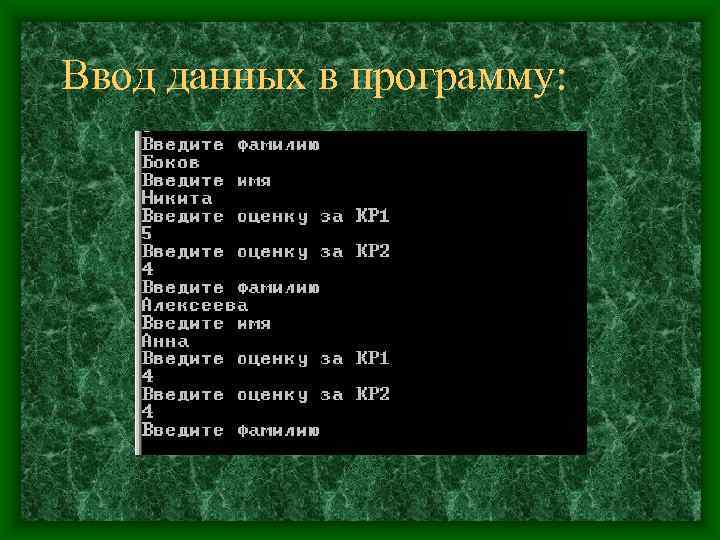 Ввод данных в программу: 