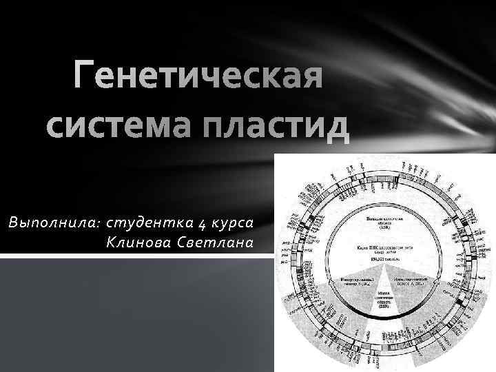 Выполнила: студентка 4 курса Клинова Светлана Выполнила: студентка 4 курса Клинова Светлана