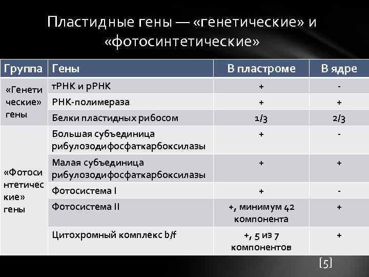 Пластидные гены — «генетические» и «фотосинтетические» Группа Гены Пластидные гены — «генетические» и «фотосинтетические» Группа Гены