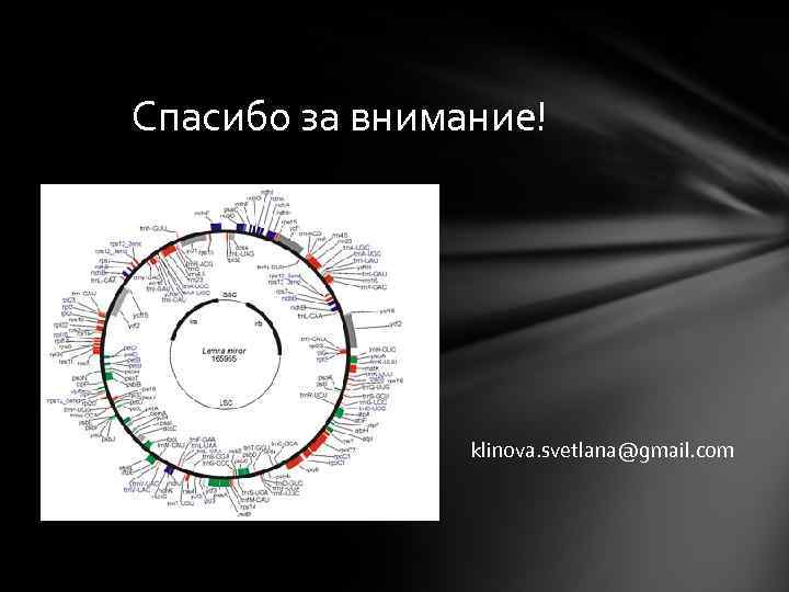 Спасибо за внимание! klinova. svetlana@gmail. com Спасибо за внимание! klinova. svetlana@gmail. com