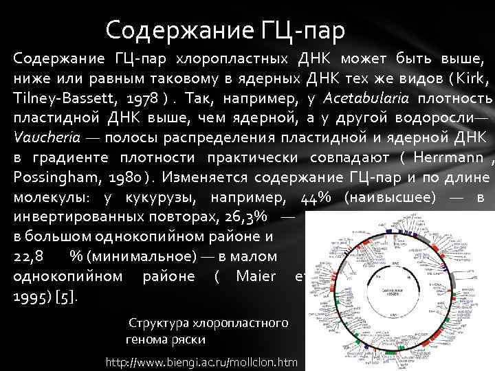 Содержание ГЦ-пар хлоропластных ДНК может быть выше, ниже или равным таковому в Содержание ГЦ-пар хлоропластных ДНК может быть выше, ниже или равным таковому в