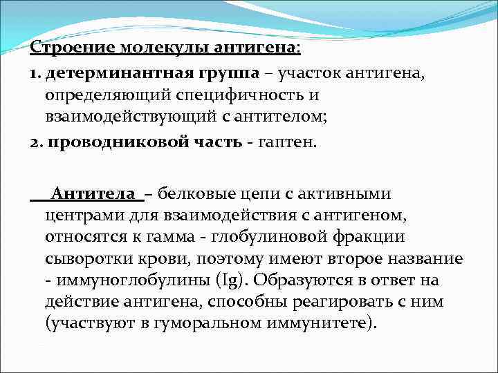Строение молекулы антигена: 1. детерминантная группа – участок антигена, определяющий специфичность и взаимодействующий с Строение молекулы антигена: 1. детерминантная группа – участок антигена, определяющий специфичность и взаимодействующий с