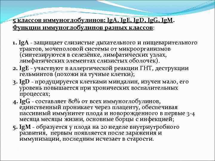 5 классов иммуноглобулинов: Ig. А, Ig. Е, Ig. D, Ig. G, Ig. M. Функции 5 классов иммуноглобулинов: Ig. А, Ig. Е, Ig. D, Ig. G, Ig. M. Функции