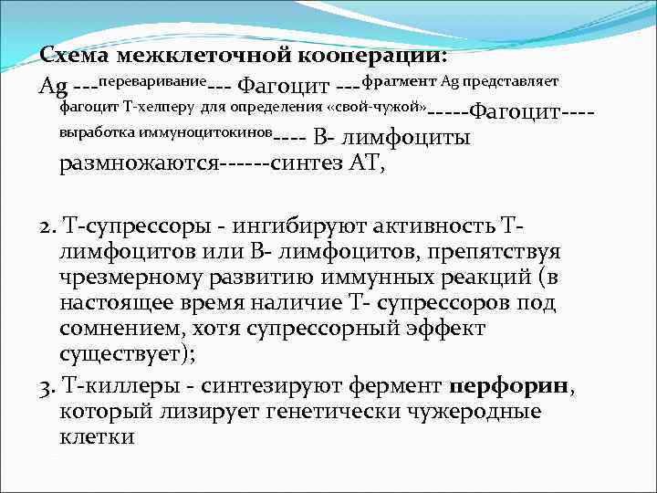 Схема межклеточной кооперации: Ag ---переваривание--- Фагоцит ---фрагмент Ag представляет фагоцит Т-хелперу для определения Схема межклеточной кооперации: Ag ---переваривание--- Фагоцит ---фрагмент Ag представляет фагоцит Т-хелперу для определения
