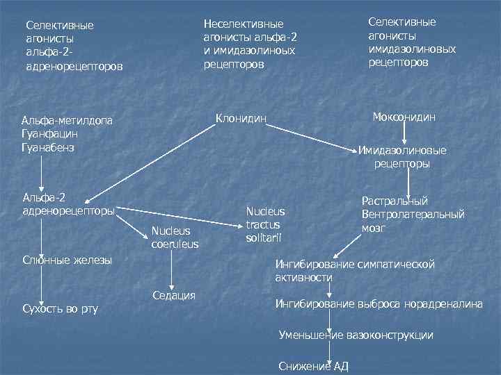 Селективные     Неселективные    Селективные агонисты   