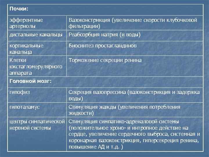Почки:  эфферентные  Вазоконстрикция (увеличение скорости клубочковой артериолы   фильтрации) дистальные канальцы