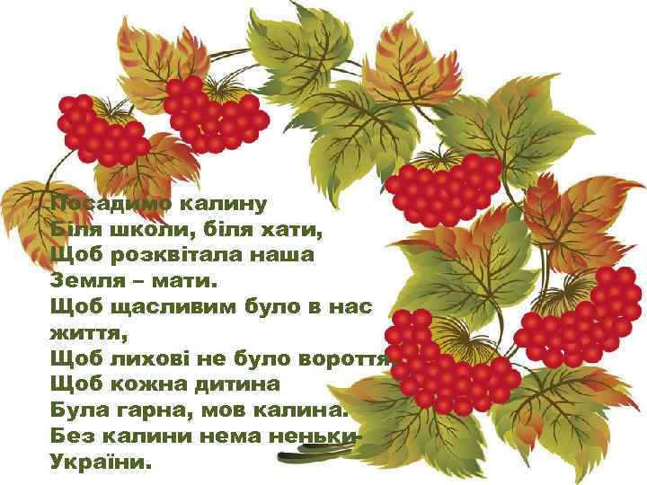 Посадимо калину Біля школи, біля хати, Щоб розквітала наша Земля – мати. Щоб щасливим