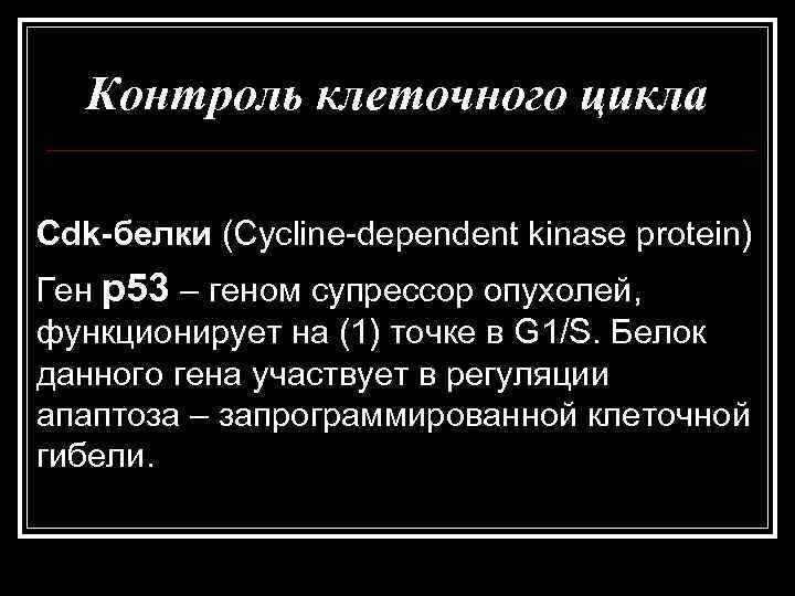   Контроль клеточного цикла Cdk-белки (Cycline-dependent kinase protein) Ген р53 – геном супрессор
