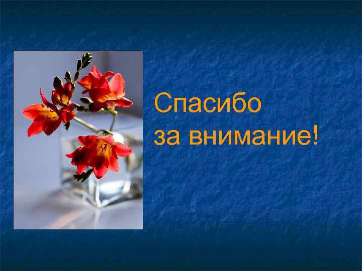 Спасибо за внимание! 