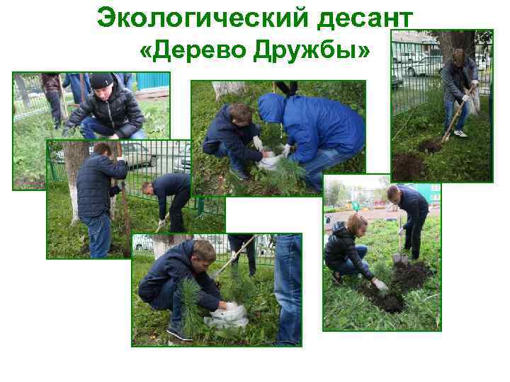 Экологический десант  «Дерево Дружбы» 