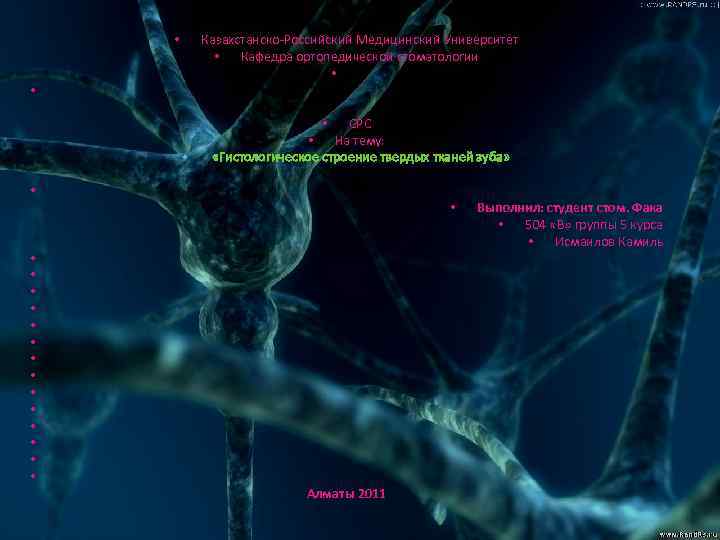       •  Казахстанско-Российский Медицинский Университет  