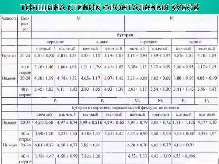 ТОЛЩИНА СТЕНОК ФРОНТАЛЬНЫХ ЗУБОВ 