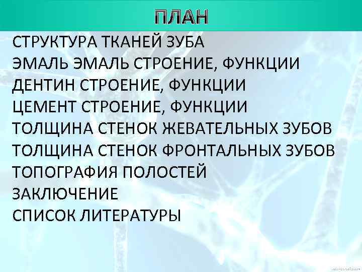    ПЛАН СТРУКТУРА ТКАНЕЙ ЗУБА ЭМАЛЬ СТРОЕНИЕ, ФУНКЦИИ ДЕНТИН СТРОЕНИЕ, ФУНКЦИИ ЦЕМЕНТ