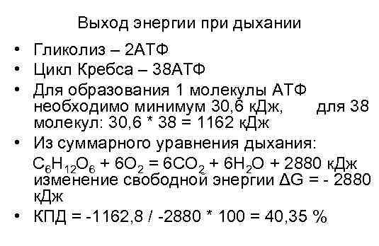   Выход энергии при дыхании • Гликолиз – 2 АТФ • Цикл Кребса