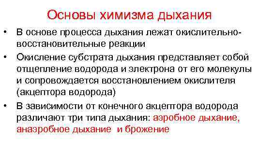 Химизм дыхания. В основе процесса дыхания. Процесс дыхания химия. Объясните процесс дыхания.