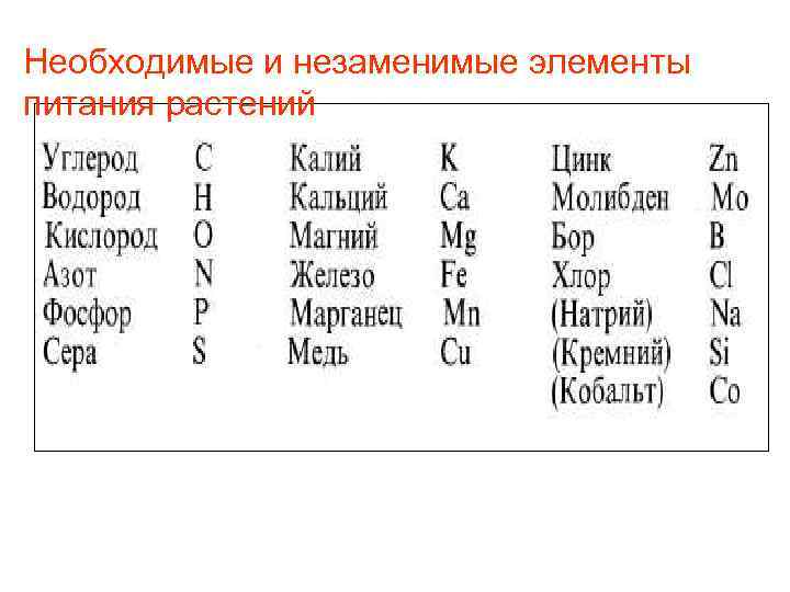Необходимые и незаменимые элементы питания растений 