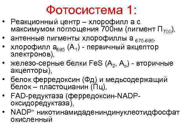   Фотосистема 1:  • Реакционный центр – хлорофилл а с  максимумом