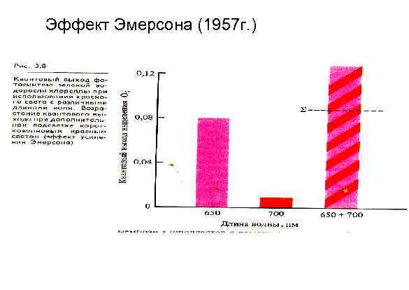Эффект Эмерсона (1957 г. ) 