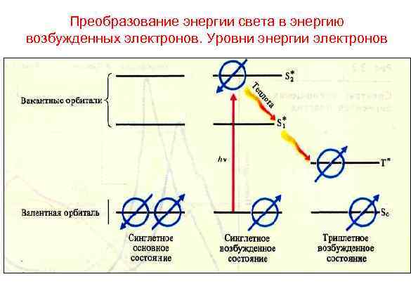  Преобразование энергии света в энергию возбужденных электронов. Уровни энергии электронов 