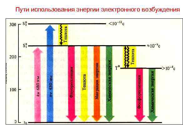 Пути использования энергии электронного возбуждения 