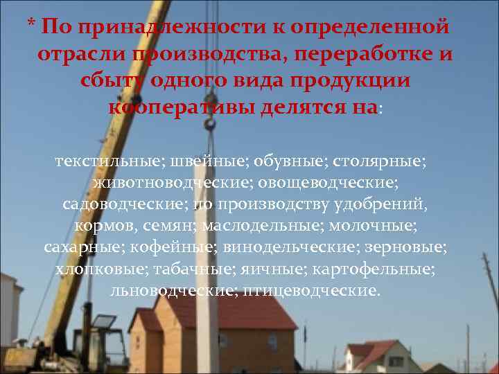 * По принадлежности к определенной отрасли производства, переработке и сбыту одного вида продукции 