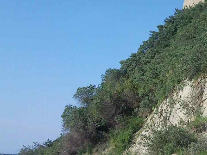 Формации Русской плиты 