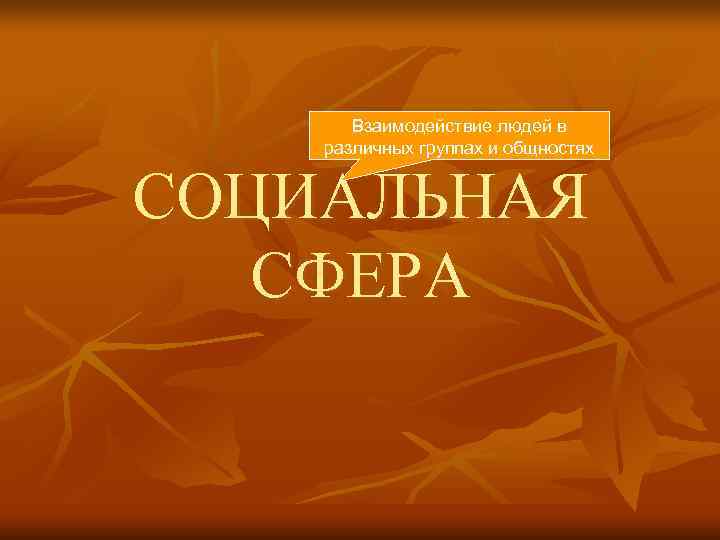   Взаимодействие людей в различных группах и общностях  СОЦИАЛЬНАЯ  СФЕРА 