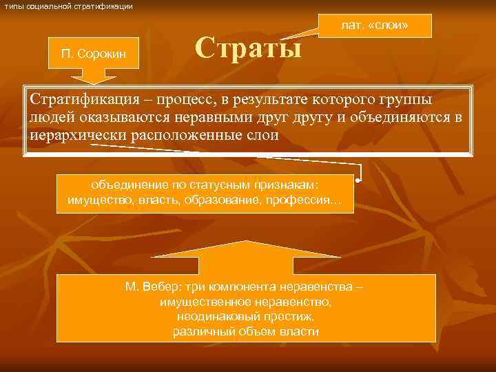 типы социальной стратификации      лат.  «слои»   