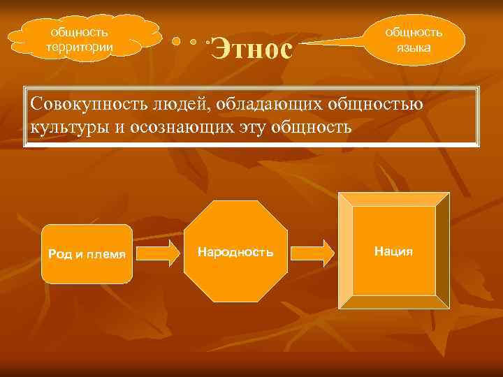  общность     общность территории    Этнос  