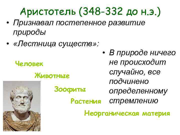 Аристотель (348 -332 до н. э. ) • Признавал постепенное развитие Аристотель (348 -332 до н. э. ) • Признавал постепенное развитие